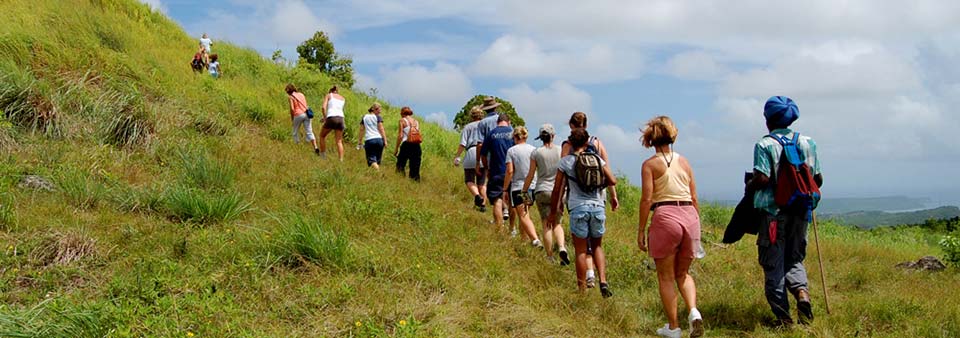 hiking tour groups