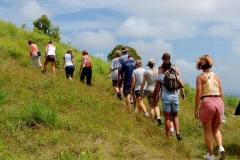 Hiking Antigua Rainforest Signal Hill Tour.