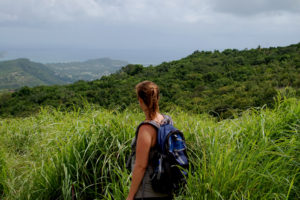 Footsteps Rainforest Hiking Tours – Antigua Rainforest Tours by Dassa ...