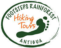 Footsteps Rainforest Hiking Tours